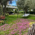 Hotel Rosapineta - Adults Only