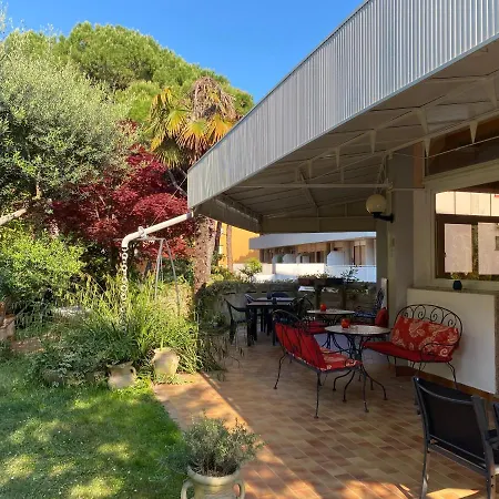 Rosapineta - Adults Only 리그나노 사비아도로