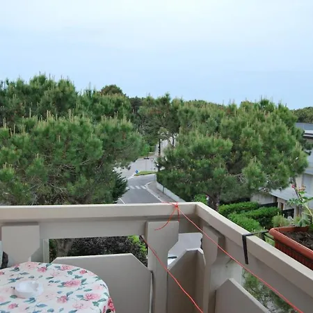 Rosapineta - Adults Only 2*