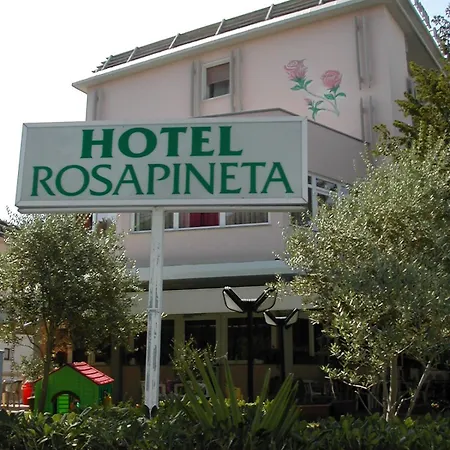 Rosapineta - Adults Only