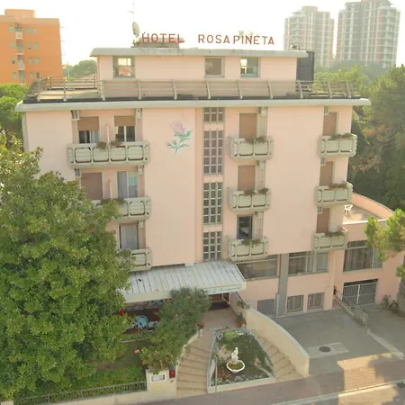 Rosapineta - Adults Only