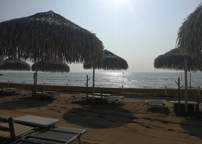 Rosapineta - Adults Only