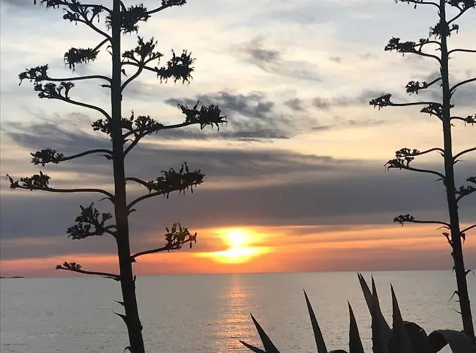 Rosapineta - Adults Only Hotel 2*