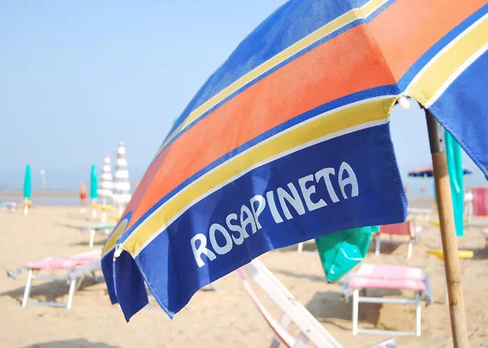 Rosapineta - Adults Only